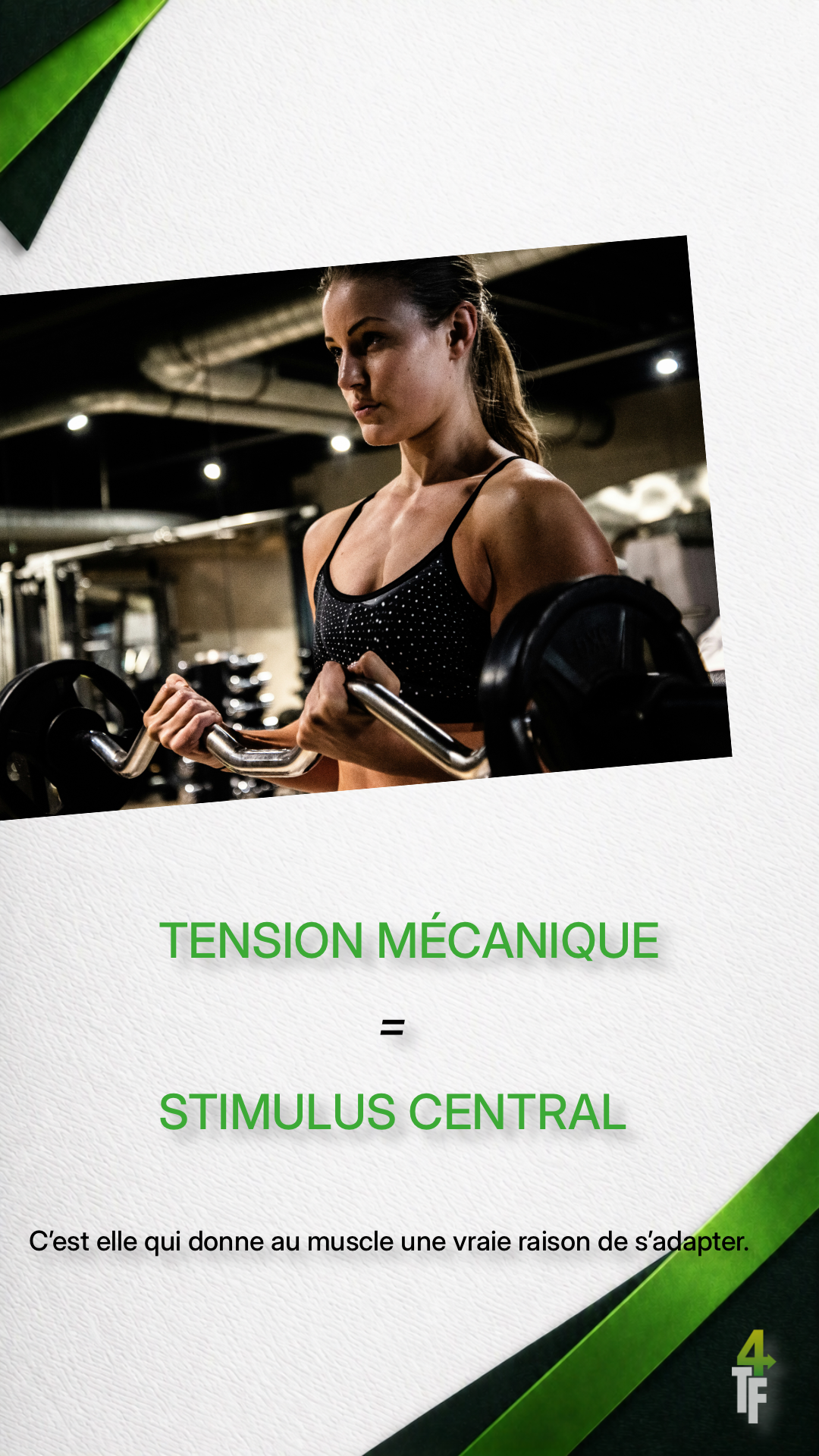 Tension mécanique au centre des mécanismes de l’hypertrophie musculaire